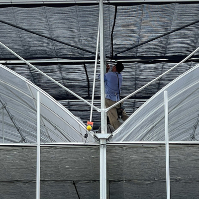 Ocynkowana stalowa rura Typ dachu łukowego Szklarnia z folii z tworzywa sztucznego z systemem hydroponicznym