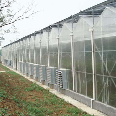 Rolniczy system hydroponiczny Arkusz poliwęglanu Szklarnia wieloprzęsłowa 30 X 100