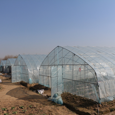 Arch Outdoor Chinese Tunel Plastikowa szklarnia przezroczysta do uprawy
