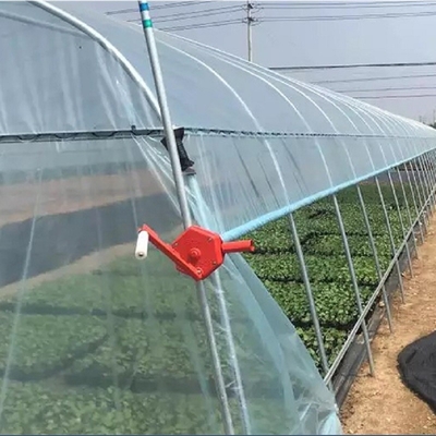 Ocynkowana stalowa rama Tunel Folia z tworzywa sztucznego Szklarnia do uprawy roślin warzywnych