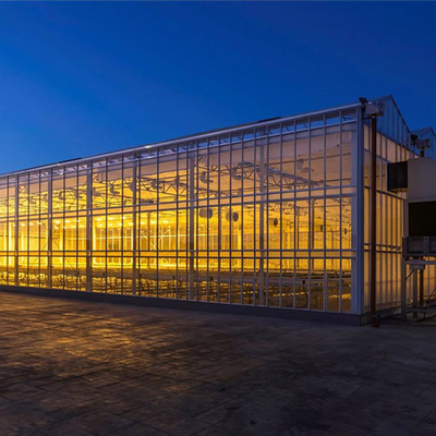 Szklana szklarnia Venlo z wysokim tunelem z zimną ramą i systemem uprawy hydroponicznej