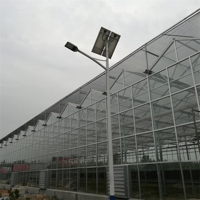 Szklana szklarnia Venlo z wysokim tunelem z zimną ramą i systemem uprawy hydroponicznej
