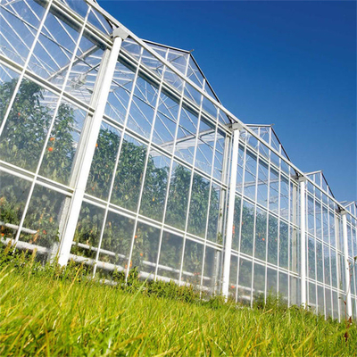 Stalowa rama ocynkowana ogniowo Fotowoltaiczna Solar Venlo Glass Greenhouse Multi Span