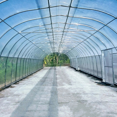 Rolnictwo Pojedynczy parasol z pojedynczym tunelem Szklarnia wentylacyjna dachowa do gorącego obszaru