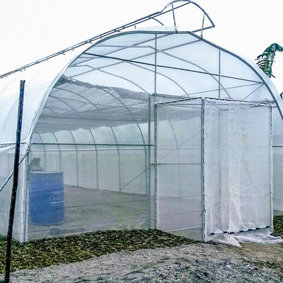 Rolnictwo Pojedynczy parasol z pojedynczym tunelem Szklarnia wentylacyjna dachowa do gorącego obszaru