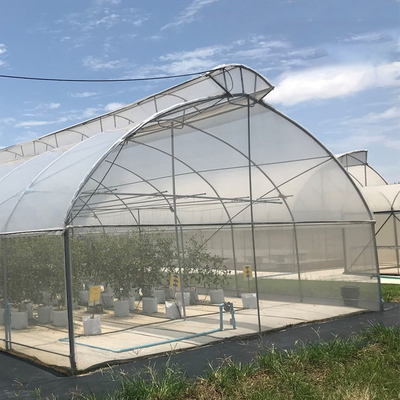 Parasolowa szklarnia dachowa z pojedynczą rozpiętością do uprawy hydroponicznej w tropikach