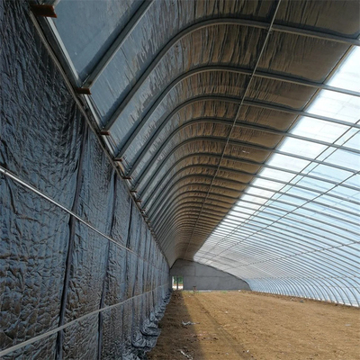 Zimna strefa zimowa pasywna szklarnia słoneczna Pojedynczy tunel z folii z tworzywa sztucznego