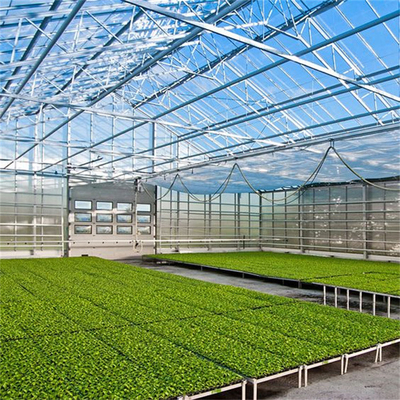 Rolnictwo Szklane szklarnie kwiatowe Przemysłowe zewnętrzne szkło wieloprzęsłowe Profesjonalna holenderska szklarnia do sadzenia kwiatów