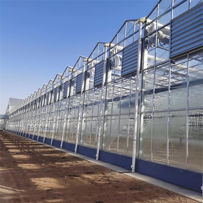 Commercial Glass Multi Span Greenhouse Uprawa roślin rolniczych