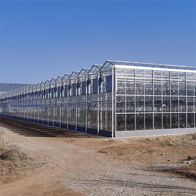 Commercial Glass Multi Span Greenhouse Uprawa roślin rolniczych