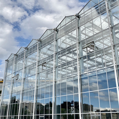 Venlo Automated Plant Hydroponic Hartowane szkło szklarniowe Multi Span Agricultural