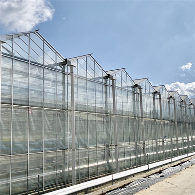 Venlo Automated Plant Hydroponic Hartowane szkło szklarniowe Multi Span Agricultural