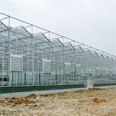 Chińskie rolnictwo Hartowane szkło szklarniowe typu Venlo Galwanizowane komercyjne