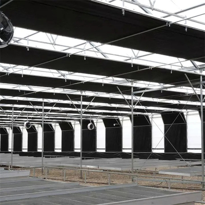 Projekt pod klucz Tunel Usa Automatyczna zaciemniająca szklarnia Uprawa roślin rolniczych