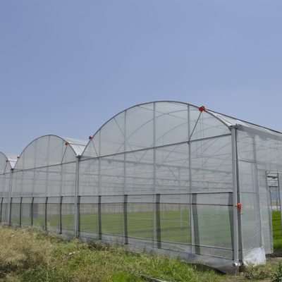 Anti Insect Net Multi Span Hydroponic Tunnel Plastikowa szklarnia do warzyw