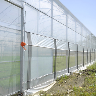 Polietylenowa folia z tworzywa sztucznego Multi Span Greenhouse z automatycznym nawadnianiem wodnym