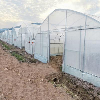 Komercyjny system chłodzenia do kontroli klimatu Pojedynczy tunel Szklarnia dla rolnictwa