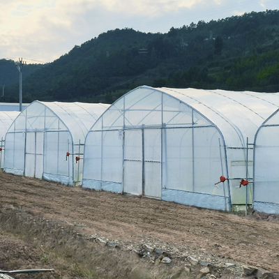 System hydroponiczny Stalowa rama Łuk Folia z tworzywa sztucznego Tunel foliowy Szklarnia dla pomidorów