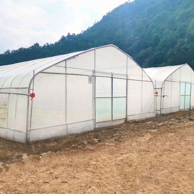 Hurtowa szklarnia Chiny Cena fabryczna Produkcja Jednoprzęsłowa rolnictwo hydroponiczne Szklarnia
