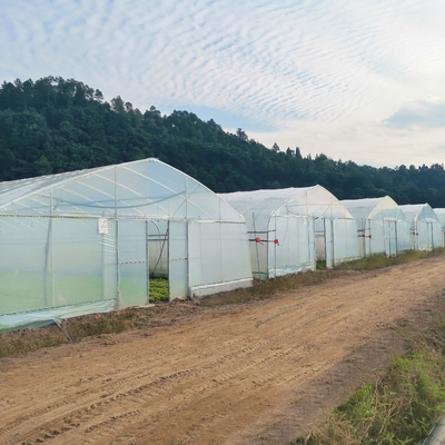 System hydroponiczny Jednoprzęsłowa folia z tworzywa sztucznego Rolnictwo Budowa szklarni na sprzedaż