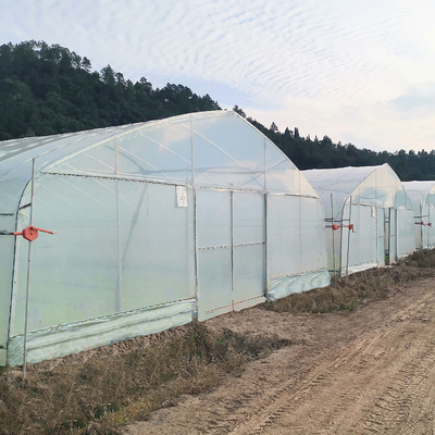 Tunel polietylenowy jednowarstwowy z polietylenu chronionego przed promieniowaniem UV Zielone domy dla rolnictwa