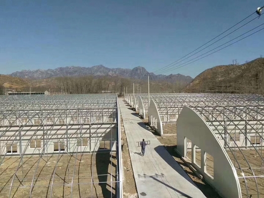 Zindywidualizowane szklarni z systemem chłodzenia o energii słonecznej