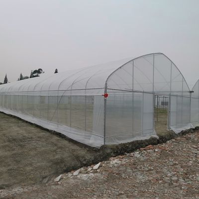 Odporny na wiatr UV Net House Szklarnia Kontroler środowiskowy Szklarnie wielowymiarowe