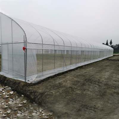 Odporny na wiatr UV Net House Szklarnia Kontroler środowiskowy Szklarnie wielowymiarowe