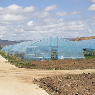 Gorąca sprzedaż Szklarnia Poly Tunnel Strawberry Agricultural Single-span Szklarnia do uprawy truskawek