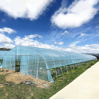 Gorąca sprzedaż Szklarnia Poly Tunnel Strawberry Agricultural Single-span Szklarnia do uprawy truskawek