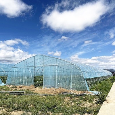 Gorąca sprzedaż Szklarnia Poly Tunnel Strawberry Agricultural Single-span Szklarnia do uprawy truskawek