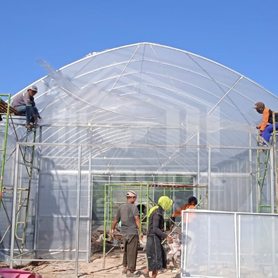 Okrągła łuk Stronna wentylacja Tunel plastikowy Szklarnia Handlowa Szklarnia jednopłaszczystowa Strawberry