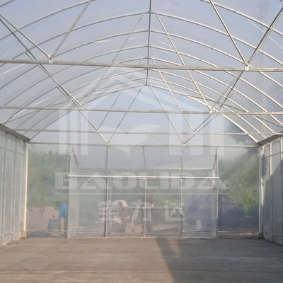 Okrągła łuk Stronna wentylacja Tunel plastikowy Szklarnia Handlowa Szklarnia jednopłaszczystowa Strawberry