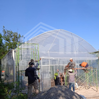 Okrągła łuk Stronna wentylacja Tunel plastikowy Szklarnia Handlowa Szklarnia jednopłaszczystowa Strawberry