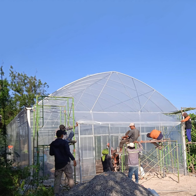 Okrągła łuk Stronna wentylacja Tunel plastikowy Szklarnia Handlowa Szklarnia jednopłaszczystowa Strawberry