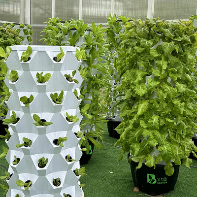 Growart Tower System hydroponicznego uprawy Automatyczny widoczny przewód wodny Oszczędność miejsca ABS