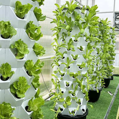 65L 12 warstwy 96 otworów roślin Automatyczny system hydroponicznego uprawy z wyjmowaną wieżą Growart