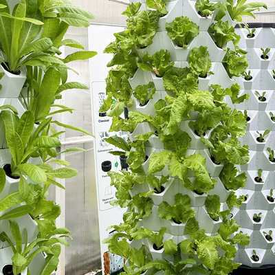 65L 12 warstwy 96 otworów roślin Automatyczny system hydroponicznego uprawy z wyjmowaną wieżą Growart