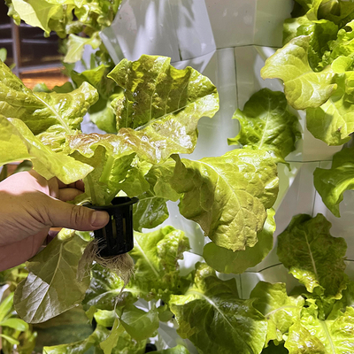 65L 6 warstwy 48 otworów roślinnych Hydroponic Tower Drip System Dostosować liczbę warstw dla wydajności