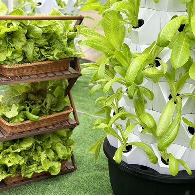 ABS PP Hydroponics Najwyższej klasy system nawadniania dla zrównoważonej produkcji roślin