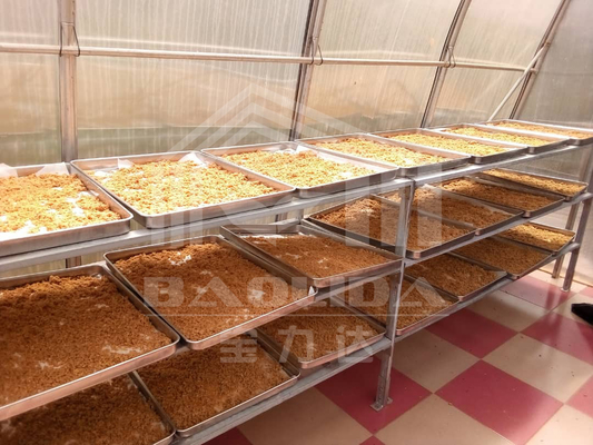Płyta poliwęglanowa Chilli Drying Solar Greenhouse Dryer do warzyw i owoców