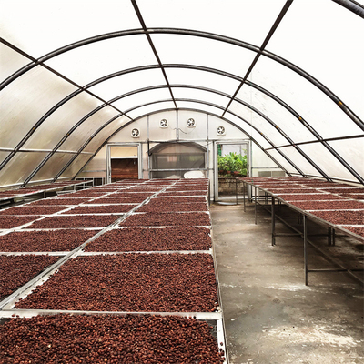 Stabilna struktura Szklarnia suszenia warzyw i ziół z zaawansowaną technologią wentylacji
