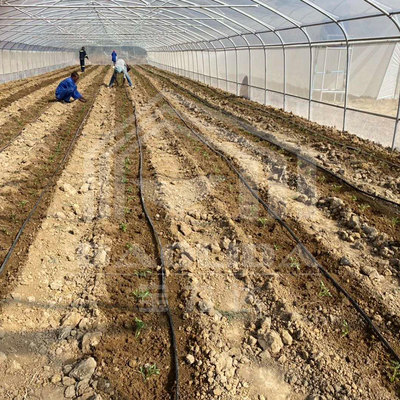Ogrodnica ekonomiczna w tunelu z wentylacją boczną dla wzrostu roślin