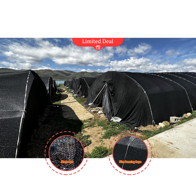 Wysokość boków 1,2-1,8 m i przestrzeń łukowa 1-1,5 m Grzyb Poly Tunnel Szklarnia chroniona przed promieniami UV