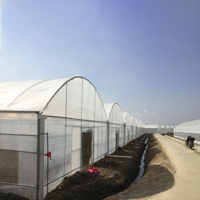 8-60 m długości Wysoki tunel Szklarnia z folii plastikowej Dostosowywalny rozmiar dla rolnictwa i produkcji kwiatów