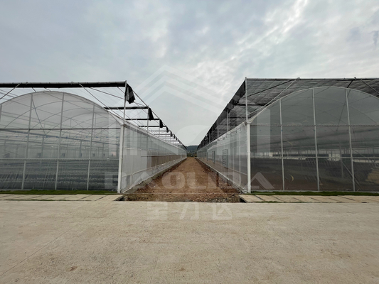 Baolida High Tunnel Plastic Film Multi Span Tropical Green House Siding Vent Agriculture Greenhouse with Shading System (Baolida Wysoki Tunel Film Plastikowy Wielopłaszczyznowy)