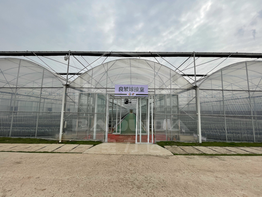 Baolida High Tunnel Plastic Film Multi Span Tropical Green House Siding Vent Agriculture Greenhouse with Shading System (Baolida Wysoki Tunel Film Plastikowy Wielopłaszczyznowy)