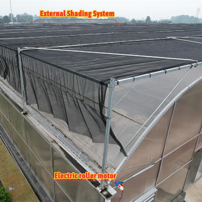 Termostat Wodoszczelna roślina System hydroponiczny tunel Duże szklarni dla kwiatów