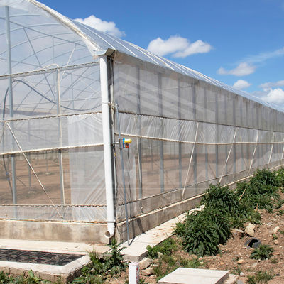 24m x 40m wielowymiarowa szklarni z 150 mikron PE film pokrywa