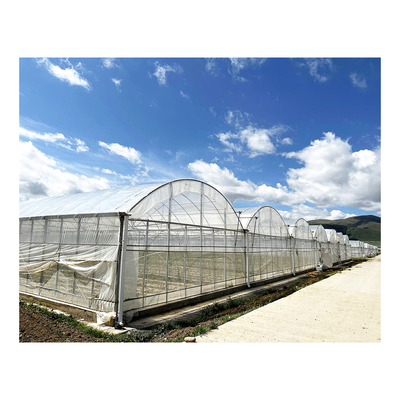 Baolida 24x40m Single-Span Szklarnia z 150 mikron PE Film